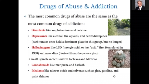 Thumbnail for entry NRSG 6215 Unit 2 Drugs of Abuse Partial material not covered f2f 2/2/22