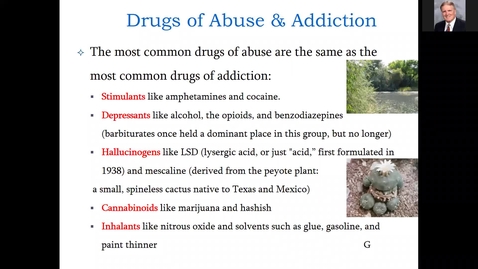 Thumbnail for NRSG 6215 Unit 2 Drugs of Abuse Partial material not covered f2f 2/2/22