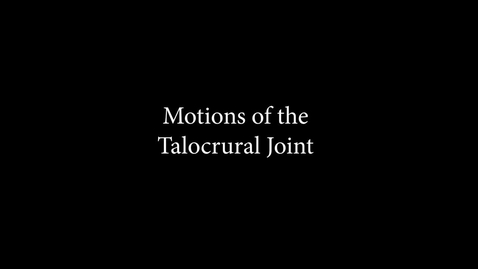 Thumbnail for entry Motions of the Talocrural joint