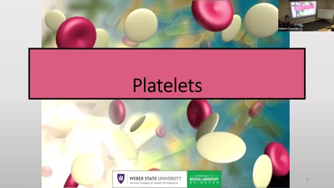 Thumbnail for 2 Platelets 2025