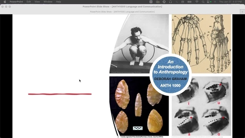 Thumbnail for ANTH1000 Language and Communication