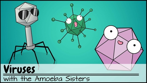 Thumbnail for entry HTHS 1101 F03-03 Viruses Video with Questions