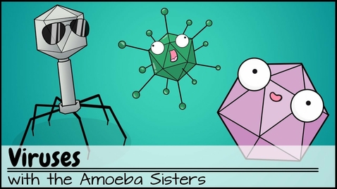 Thumbnail for HTHS 1101 F03-03 Viruses Video with Questions