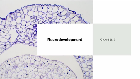 Thumbnail for PSY2710online_neurodevelopment1