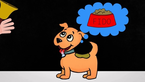 Thumbnail for Joe Dispenza - Pavlov's Dogs and the Placebo Effect