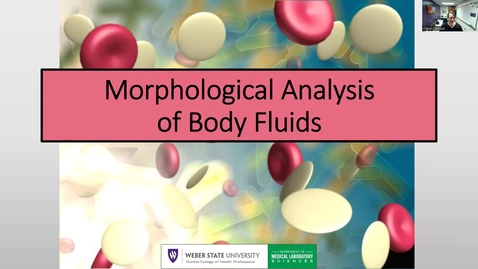 Thumbnail for Morphological Analysis of Body Fluids