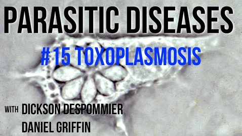 Thumbnail for entry Parasitic Diseases Lectures #15: Toxoplasmosis - Quiz