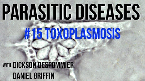 Thumbnail for Parasitic Diseases Lectures #15: Toxoplasmosis - Quiz