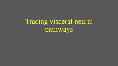 Thumbnail for entry Tracing visceral neural pathways