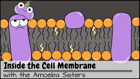 Thumbnail for entry HTHS 1110 F03-12b: Cell Surface Markers Video with Questions