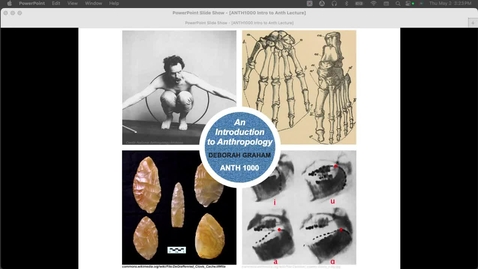 Thumbnail for ANTH1000 Anthropological Science Lecture