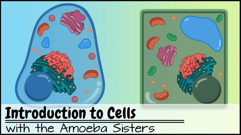 Thumbnail for HTHS 1110 F04-02: Parts of a Cell Video with Questions