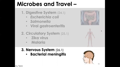 Thumbnail for MICR1153_11-24_NervousSystem_Twing