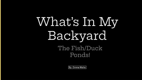 Thumbnail for What’s in My Backyard