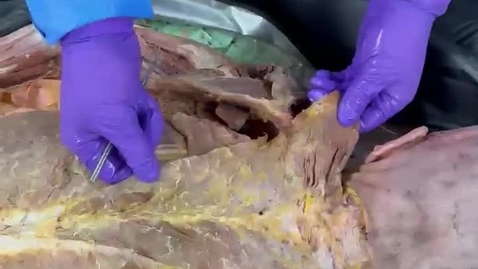 Thumbnail for IMG_9026