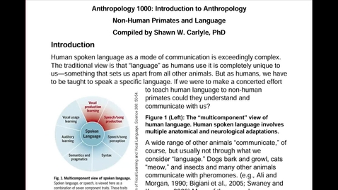 Thumbnail for ANTH 1000: Human Language and Non-Human Primates, Part 1