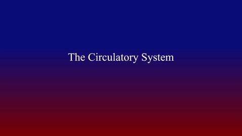 Thumbnail for entry Circulatory System (hybrid)