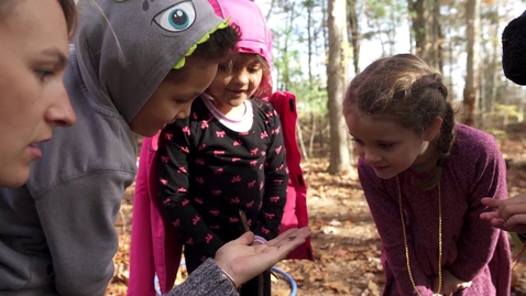 Thumbnail for Nature-Based Education Outdoor Preschool Forest Kindergarten | Samara Early Learning Rachel Larimore