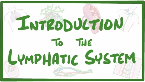 Thumbnail for HTHS 1111 F15-06 Lymphatic System Video with Questions