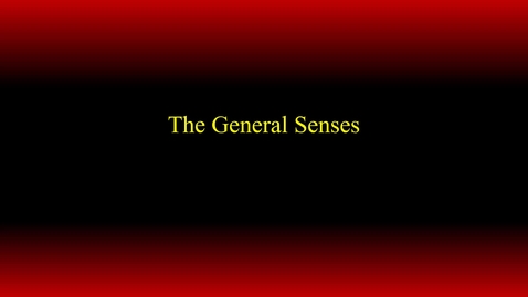 Thumbnail for entry General Senses (hybrid)