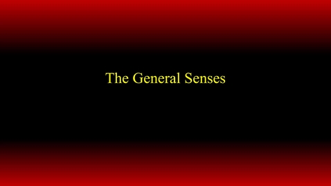 Thumbnail for General Senses (hybrid)