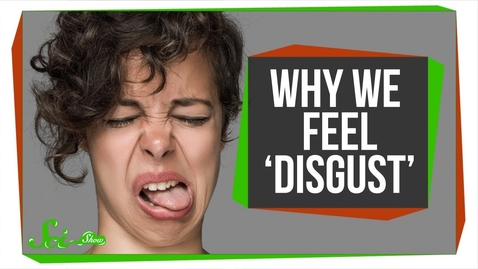 Thumbnail for Why Humans Feel Disgust, and Why Other Animals Might Too - Quiz