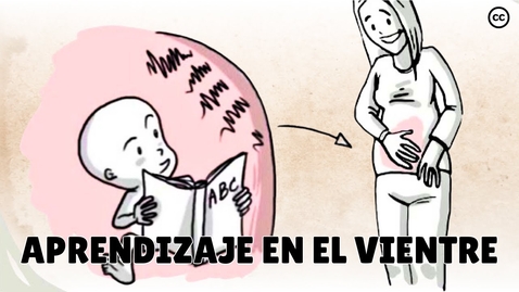 Thumbnail for Desarrollo Prenatal: Lo Que los Bebés Aprenden Dentro del Vientre