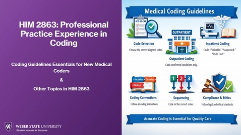 Thumbnail for HIM 2863 Overview and Coding Guidelines