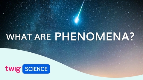 Thumbnail for Phenomena Explained: What is phenomena-based learning? | Twig Science
