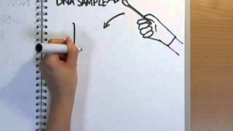 Thumbnail for entry How does DNA fingerprinting work? - Naked Science Scrapbook