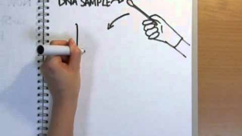 Thumbnail for How does DNA fingerprinting work? - Naked Science Scrapbook