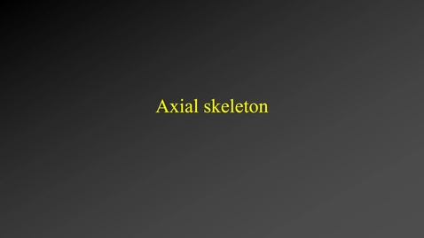 Thumbnail for entry Skeleton (axis)
