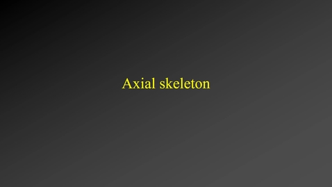 Thumbnail for Skeleton (axis)