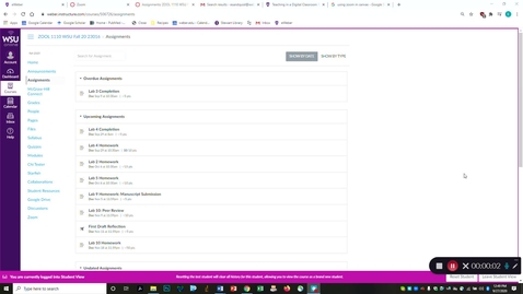 Thumbnail for How to view instructor's edits - September 27th 2020, 12:49:30 pm