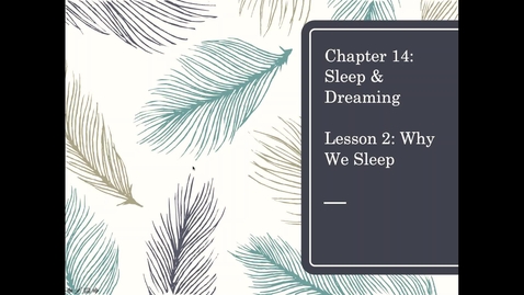 Thumbnail for PSY 2710: Ch. 14 - Lesson 2