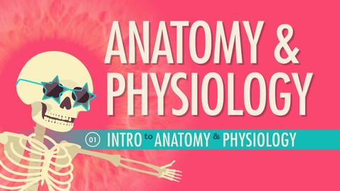 Thumbnail for entry HTHS 1110 F01-01 Introduction to Anatomy &amp; Physiology Video with Questions