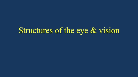 Thumbnail for entry Structures of the eye &amp; vision movie