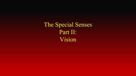 Thumbnail for entry Special senses II (Vision) movie