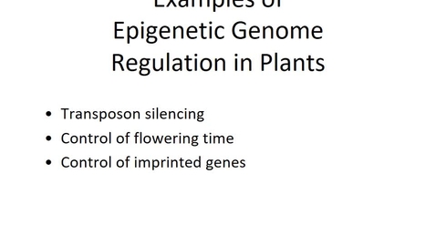 Thumbnail for entry BTNY 3303-Control of Gene Expression - Part 2 - Epigenetics - March 25, 2022