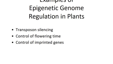 Thumbnail for BTNY 3303-Control of Gene Expression - Part 2 - Epigenetics - March 25, 2022