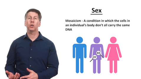Thumbnail for Sex, Gender, and Sexuality - Explained - Quiz