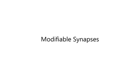 Thumbnail for NEUR 2950 Modifiable Synapses Obj 1