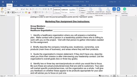 Thumbnail for Garr HAS 3020 Marketing Plan Assignment 1 Instructions