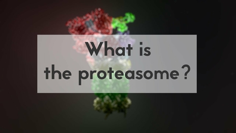 Thumbnail for HTHS 1110 F05-13b: Proteasome Video with Questions