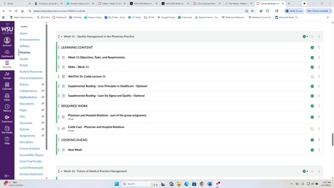 Thumbnail for HAS 4160 - Dr. Cottle Lecture 11