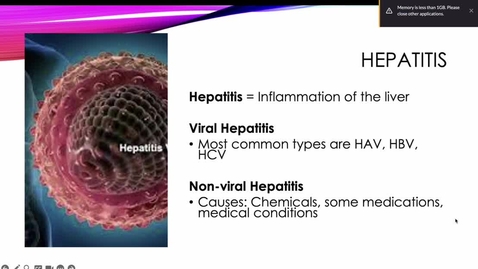 Thumbnail for Forms of Viral Hepatitis and Jaundice