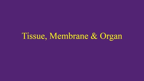 Thumbnail for entry Tissue, Membrane &amp; Organ movie