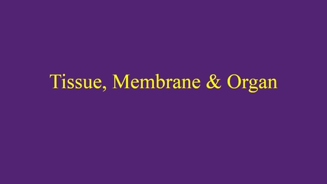Thumbnail for Tissue, Membrane &amp; Organ movie