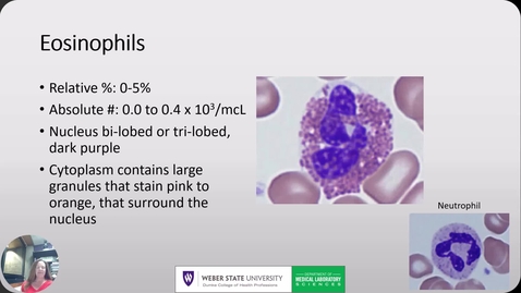 Thumbnail for MLS 1114 Unit 2 Lecture 2 Fall 2024 Eosinophil to Grading MCH-MCHC