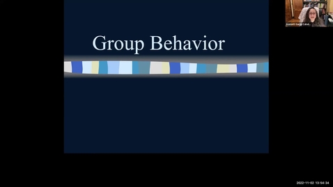 Thumbnail for entry Group Behavior 1